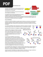 Influencia de Las Fuerzas Intermoleculares en Las Propiedades Físicas