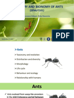 Purnama Hidayat-Taxonomy Ants