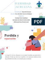 Perdida y Separación