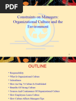 Organizational Culture and Environment