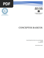 CONCEPTOS BASICOS Lisseth