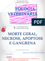 2 - Morte Geral, Apoptose, Necrose e Gangrena - Universo