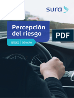 Percepción Del Riesgo en La Vía