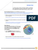 4 - Cell Structure Gizmo Answers