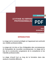 Stage Et Professionnalisation