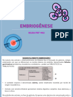 Aula 02 - Desenvolv Embrionário