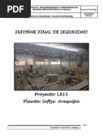 Informe Final de Seguridad Softys 2024 Aqp