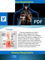 Sistema Respiratorio Neto Avelino