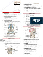 Abdominal Wall