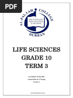 LS Term 3 2023