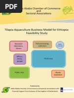 Tilapia Aquaculture Business Model For Ethiopia