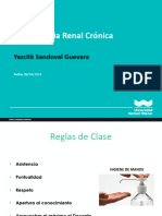 Insuficiencia Renal Crónica