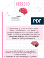 Cerebro