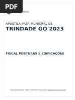 Fiscalposturas Trindade2023