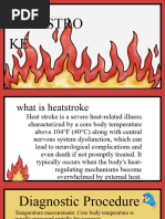 Heatstroke