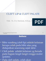 Cleft Lip & Cleft Palate