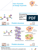 Protein Structure