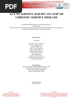 Kidney Injury On Top of CKD Group 06