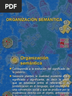 Organización Semantica