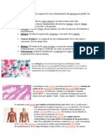 Ciencias Físicas