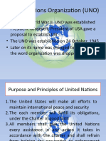 United Nations Organization (UNO)