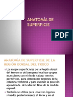 Anatomía de Superficie