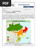 Biomas Brasileiros - Atividade