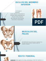 ANATOMIA Presentacion