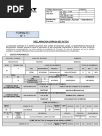 Formato Sunat