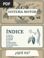 Presentación Diapositivas Biología Cuerpo Humano Vintage Marrón y Blanco - 20240521 - 205108 - 0000