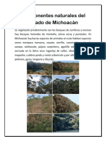 Componentes Naturales Del Estado de Michoacán