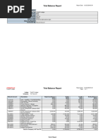 TrialBalance - Trial Balance Report