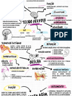 Mapa Mental Histologia