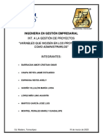 Variables Que Inciden en Los Proyectos y Como Administrarlos