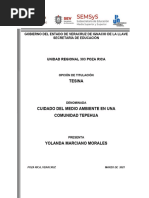 EL CUIDADO DEL MEDIO AMBIENTE EN UNA COMUNIDAD TEPEHUA (Yolanda Marciano Morales