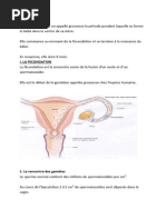 Expose Fecondation