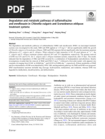 Degradation and Metabolic Pathways of Sulfamethazine and Enrofloxacin in Chlorella Vulgaris and Scenedesmus Obliquus Treatment Systems