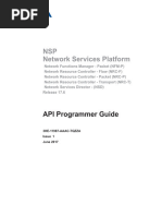 NSP 17.6 API Programmer Guide