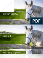 Patología y Clínica Equina