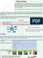 Reino Protista y Fungi Resumen