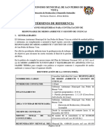 TDR Responsable de Medio Ambiente y Gestion de Cuencas