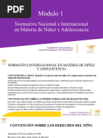 Normativa Nacional e Internacional en Materia de Niñez