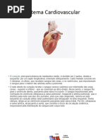 Sistema Cardiovascular