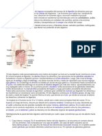 Sistema Digestivo