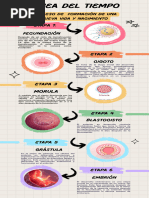 Proceso de Formación de Una Nueva Vida y Nacimiento