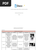 Sindromes Pulmonares