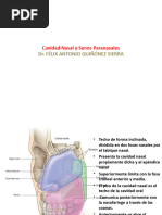 Cavidad Nasal y Senos Paranasales