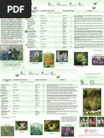 New York Rain Garden Plant List - Cornell University