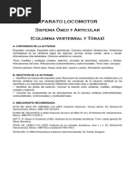 Actividad Práctica-Sistema Óseo y Articular de La Columna