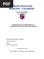 INFORME FINAL PPE Formato Institucional 2024